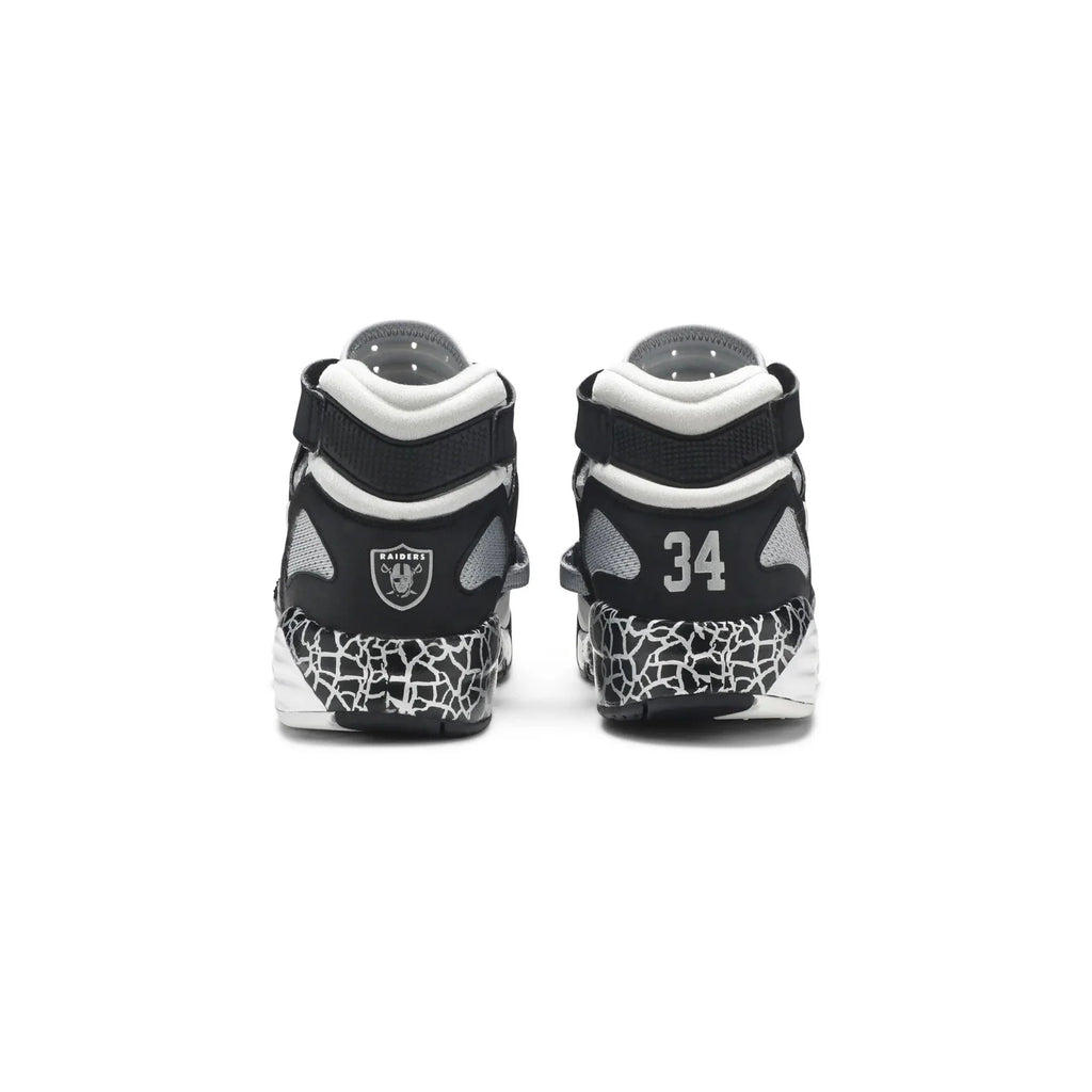 Air Trainer Max 91 'Bo Knows Raiders' (2013)